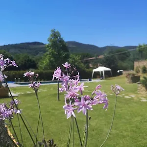  Bed & Breakfast Alba Morus Bed E Breakfast Sentiti A Casa Nel Cuore Della Toscana